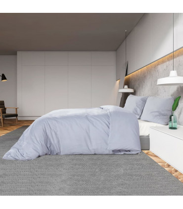 Duvet Cover Set Grey 200x200 cm Light-weight Microfiber