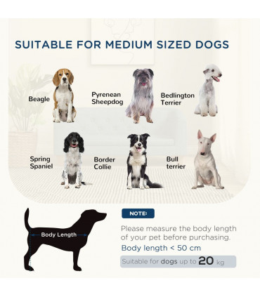 Dog Sofa Bed, Elevated Dog Couch w/ Soft Cushion for Small, Medium Dogs - Grey