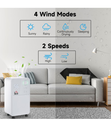 12L/Day 2000ML Portable Quiet Dehumidifier Home Laundry Room Electric Moisture