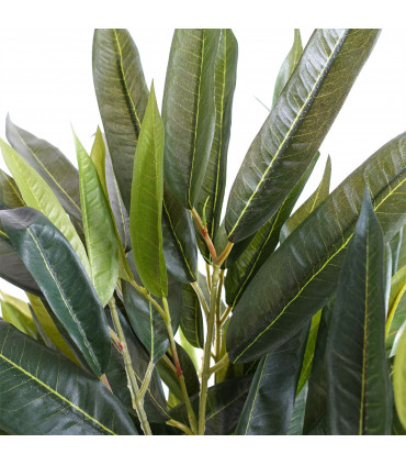 100cm Realistic Artificial Tree Longifolia Ficus Natural Trunk