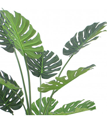 120cm (4ft) Luxury Monstera Plant Black Pot