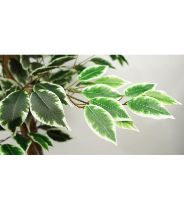 150cm Artificial Ficus Tree 1008 Silk Leaves