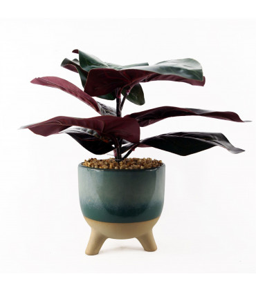 35cm Artificial Ficus Plant with Teal Blue Green Ceramic Planter