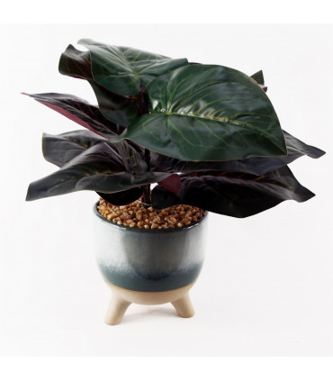 35cm Artificial Ficus Plant with Teal Blue Green Ceramic Planter
