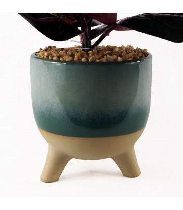 35cm Artificial Ficus Plant with Teal Blue Green Ceramic Planter