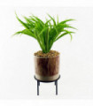 35cm Artificial Grass with Ceramic Planter & Metal Stand