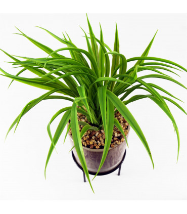 35cm Artificial Grass with Ceramic Planter & Metal Stand