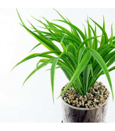 35cm Artificial Grass with Ceramic Planter & Metal Stand