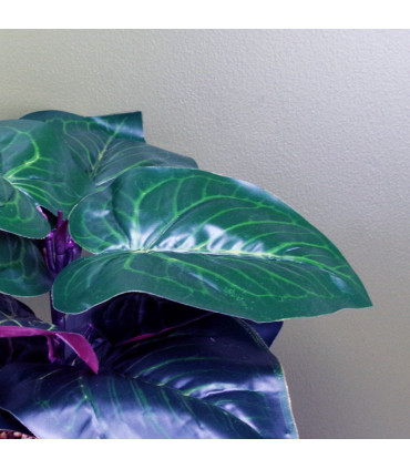 35cm Artificial Ficus Plant Potted in Teal Blue Green Ceramic Planter