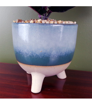 35cm Artificial Ficus Plant Potted in Teal Blue Green Ceramic Planter