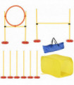 Outdoor 4 PCs Dog Pet Agility Training Equipment Backyard Starter Course Set