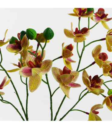 43cm Pink Yellow Artificial Orchid in Ceramic Planter