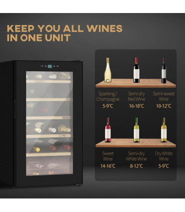 24 Bottles Wine Fridge with Glass Door Digital Touch Screen Control LED Light
