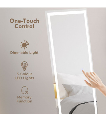 LED Lighted Full Length Mirror Dimmable Body Mirror White 40W x 2.9D x 150Hcm