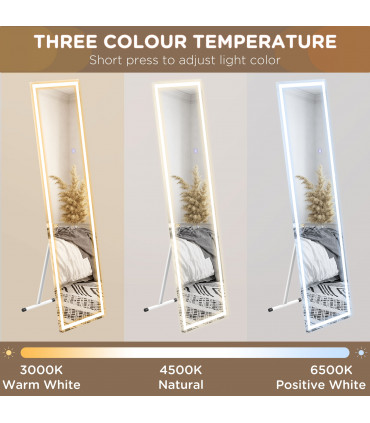 LED Lighted Full Length Mirror Dimmable Body Mirror White 40W x 2.9D x 150Hcm