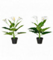 Set of 2 Artificial Realistic Calla Lily Flower, Decorative Plant, 55cm HOMCOM