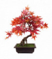 50cm Artificial Red Maple Bonsai Tree