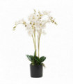 60cm Leaf Design UK Realistic Artificial Orchid Flower Display in Pot