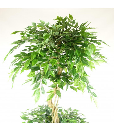 180cm Artificial Twisted Trunk Fruticosa Ficus Tree Triple Ball Topiary 1984 Leaves