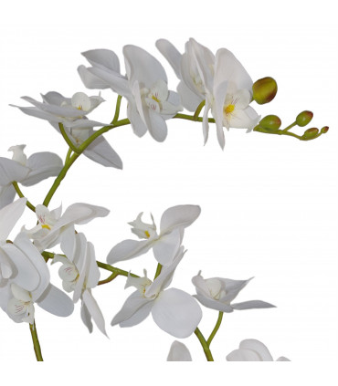 65cm Artificial Luxury Artificial Orchid - 3 Stems - Soft White Plant