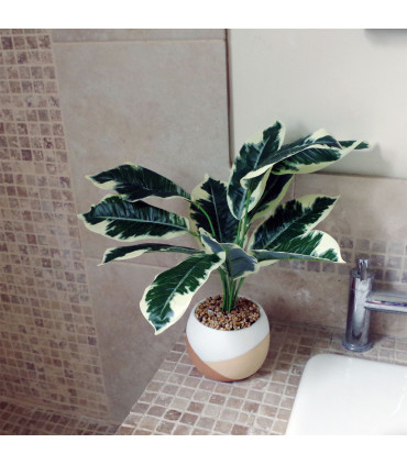 40cm Artificial Pothos Plant Variegated Shrub with Planter