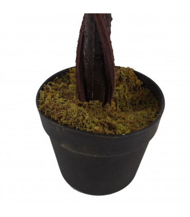 Artificial Cream Rose Tree Wedding Twisted Vine Detail 90cm (3ft)