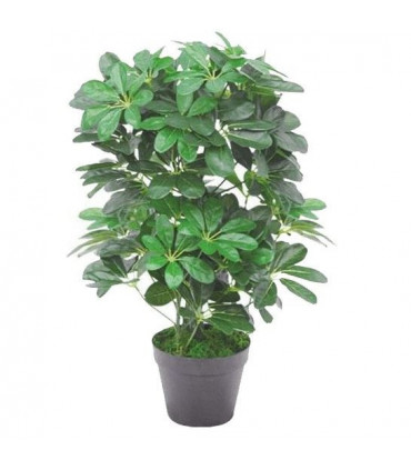 55cm Dark Green Artificial Schefflera Arboricola Plant