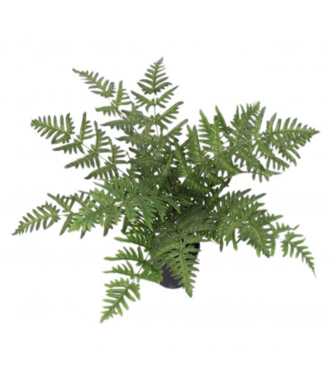 50cm Luxury Artificial Evergreen Fern Plant