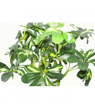 70cm Artificial Twisted Stem Modern Arboricola Artificial Plant Bonsai Bush