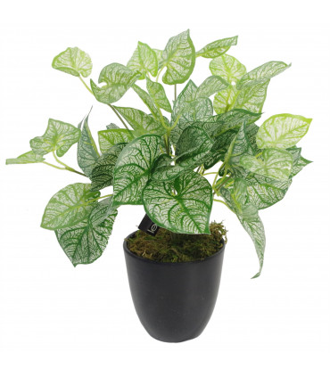 40cm Artificial Caladium Plant with pot