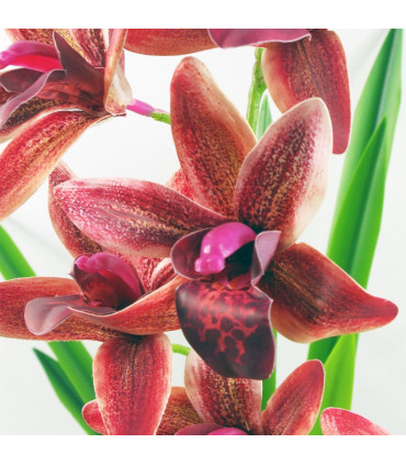 50cm Dark Pink Artificial Orchid in Ceramic Planter