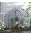 Mini Walk-in Greenhouse