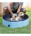 Dog Pool