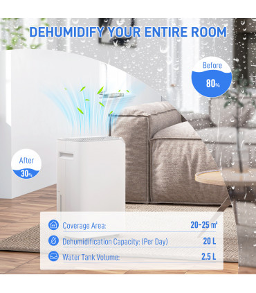 HOMCOM 20L/Day Small Dehumidifier for Home Damp Laundry, with 24H Timer