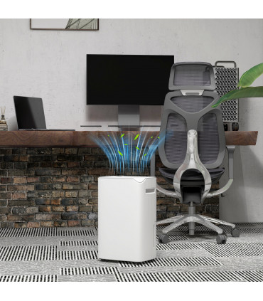 HOMCOM 20L/Day Small Dehumidifier for Home Damp Laundry, with 24H Timer