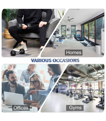 Hexagonal Dumbbells Kit Weight Lifting Exercise for Home Fitness 2x4kg HOMCOM