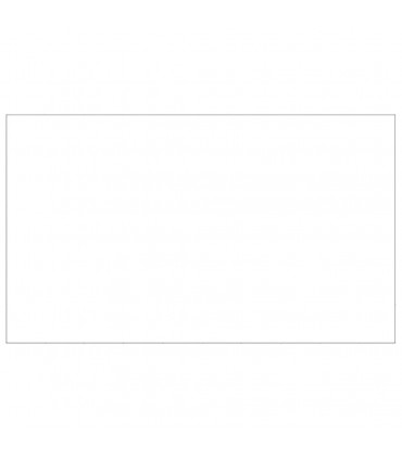 Dog Kennel Silver 60 m² Steel