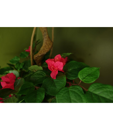 Silk Blossom Tree Large Japanese 150cm Green Silk Artificial Tree 70cm Wide