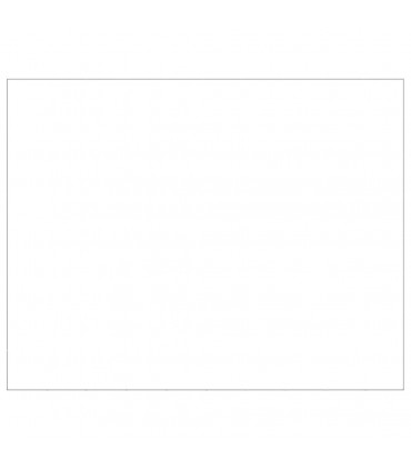 Dog Kennel Silver 80 m² Steel