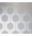 Luxe Hexagon Silver sw12