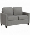HOMCOM Modern 2 Seater Sofa with Spring Cushion, Back Pillow, Grey