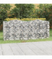 vidaXL Arched Gabion Raised Bed 200x50x100 cm Galvanised Iron