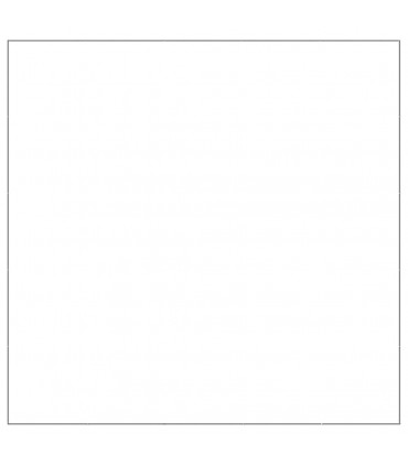 Dog Kennel Silver 25 m² Steel