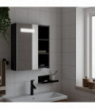 vidaXL Bathroom Mirror Cabinet with LED Light Black 45x13x52 cm