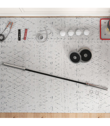 Barbell Bar for 2"/5cm Weight Plates, Home Gym Weight Lifting Bar, 210cm, 20kg