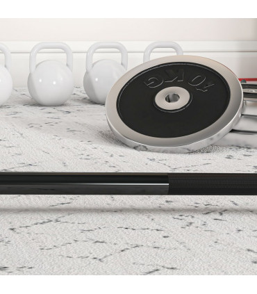 Barbell Bar for 2"/5cm Weight Plates, Home Gym Weight Lifting Bar, 210cm, 20kg