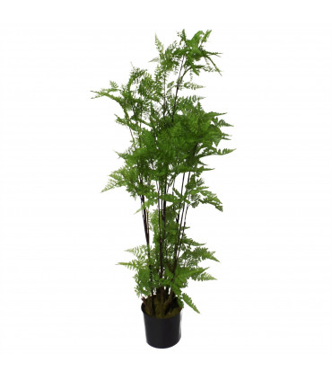 Artificial Natural Moss Base Fern