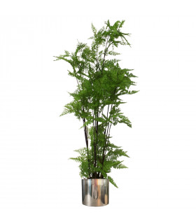 150cm Artificial Natural Moss Base Fern Foliage Plant with Silver Metal Plater