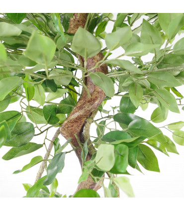 150cm Twisted Trunk Artificial Japanese Fruticosa Ficus Tree Silver Planter