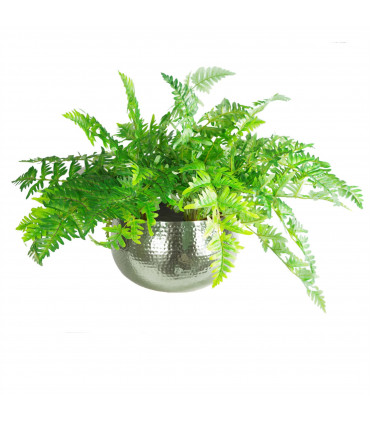 Leaf Large Metal Planter Bowl 32 x 20cm Hammered Silver Colour - Straight Edge